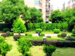 DPP_0001 (2)_副本.jpg