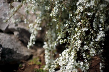 _MG_2851.JPG