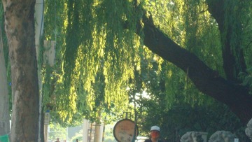 FF18EA0D-FB1D-4AEB-AB7A-B5E810B7B3CB/L0/001