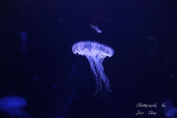 IMG_1798_副本.jpg