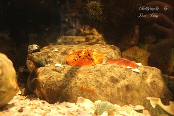 IMG_1803_副本.jpg
