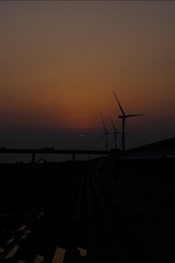 AA895944-A82E-4057-84B9-1FBD9CE3D36A/L0/001