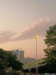 1000034615