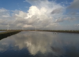5229667