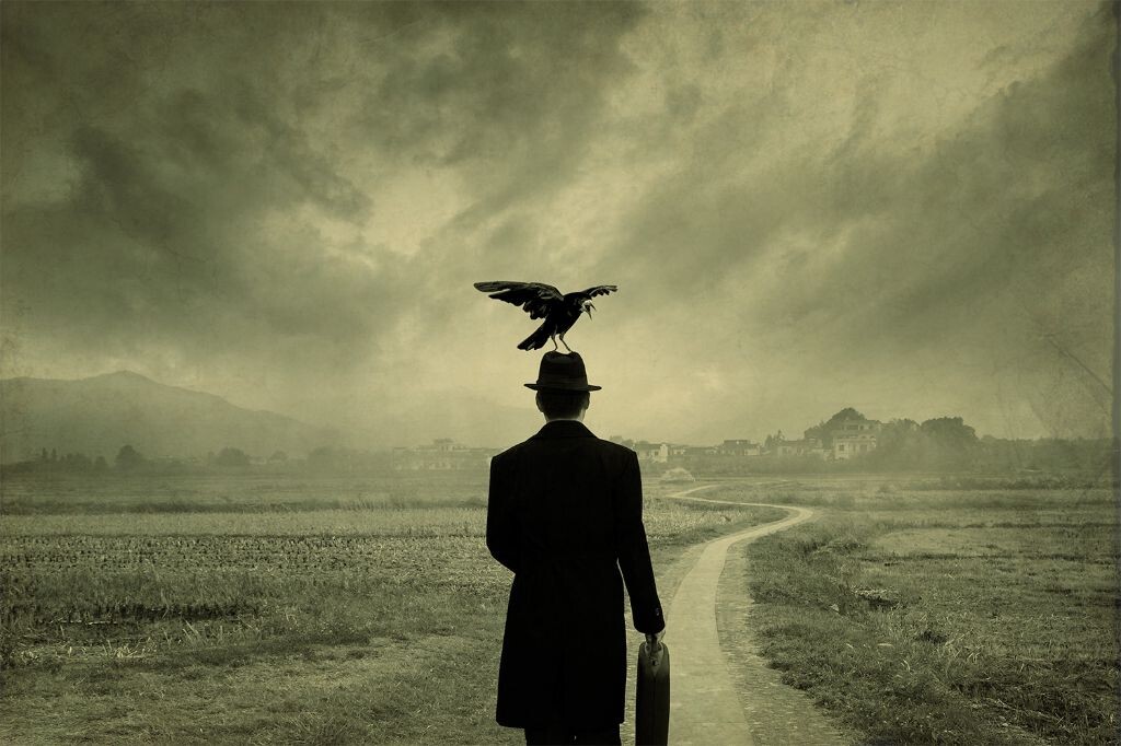 人生道路千万条，其实终点就一个，高调的鸟，低调的人，鸟、人一概如此-------。