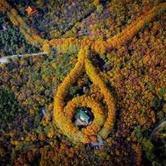 中山陵天然大项链