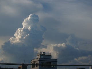 494643