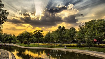 百合公园(hdr).jpg