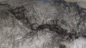 1000048332