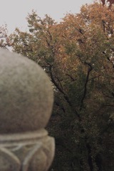 F64091C1-FF4A-4C98-90CD-DD3A099CE894/L0/001