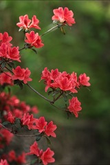 5F0395F5-6839-41C6-93CC-7584D6428897/L0/001