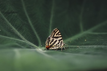 50F57F90-F496-4F1E-985C-DB269623C8DA/L0/001