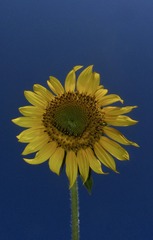 415299F3-3186-4210-A0F8-BB6ACC20D9A6/L0/001