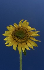 D9887B1A-A84B-4B42-A16D-B4F419EFFDAE/L0/001
