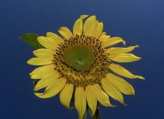 331907E7-2E77-40CF-9FA7-3532333F6D6D/L0/001