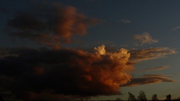 40940CBC-9544-4500-A883-F1FC98D7CC8D/L0/001