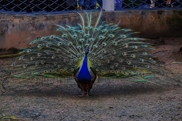 9D671794-9C3E-4D55-9CC7-5A3EB94826B8/L0/001