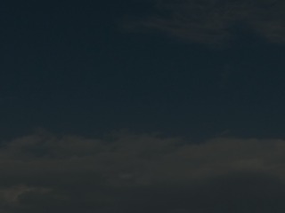 1007333
