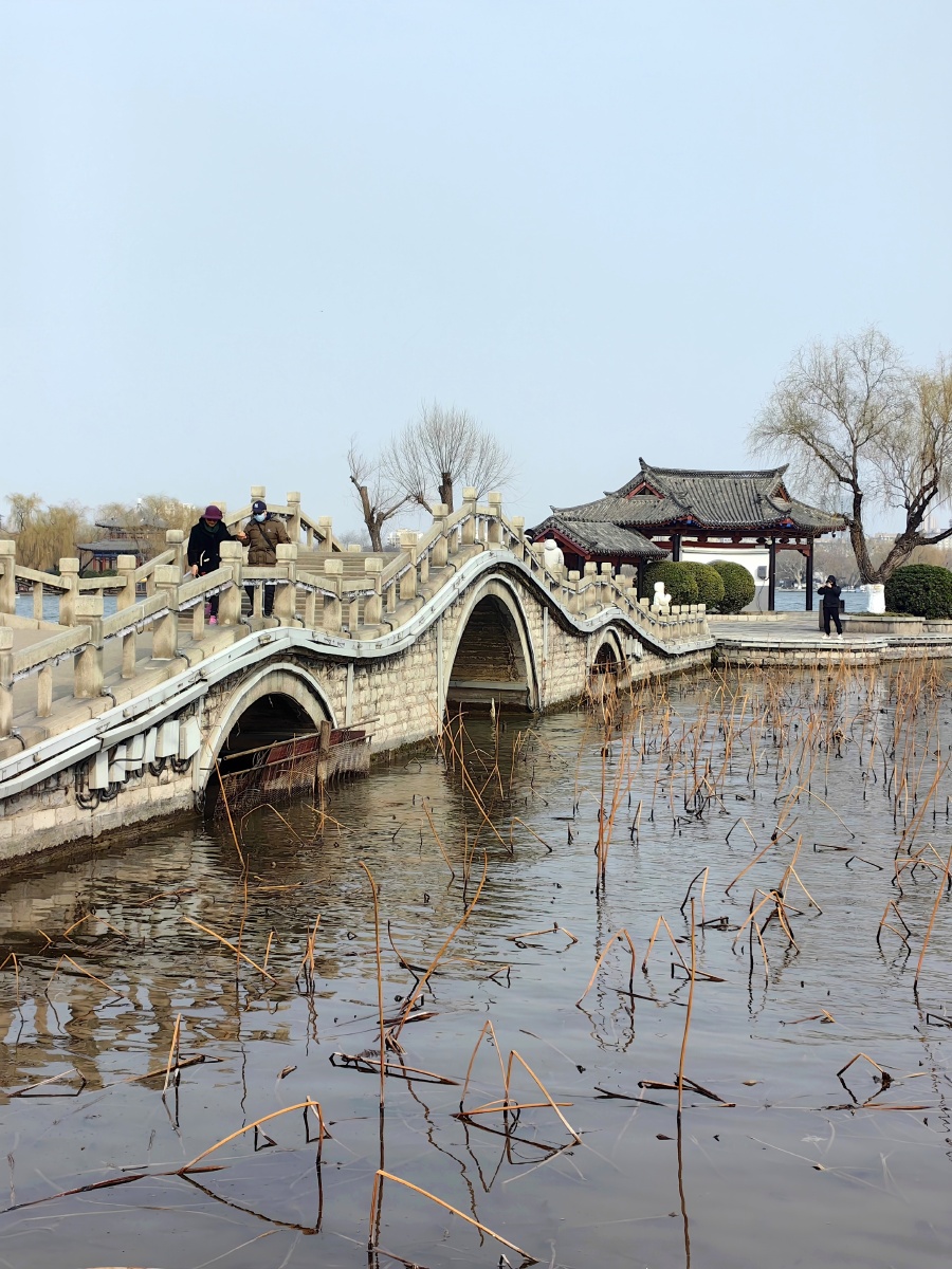 美在其中游大明湖52