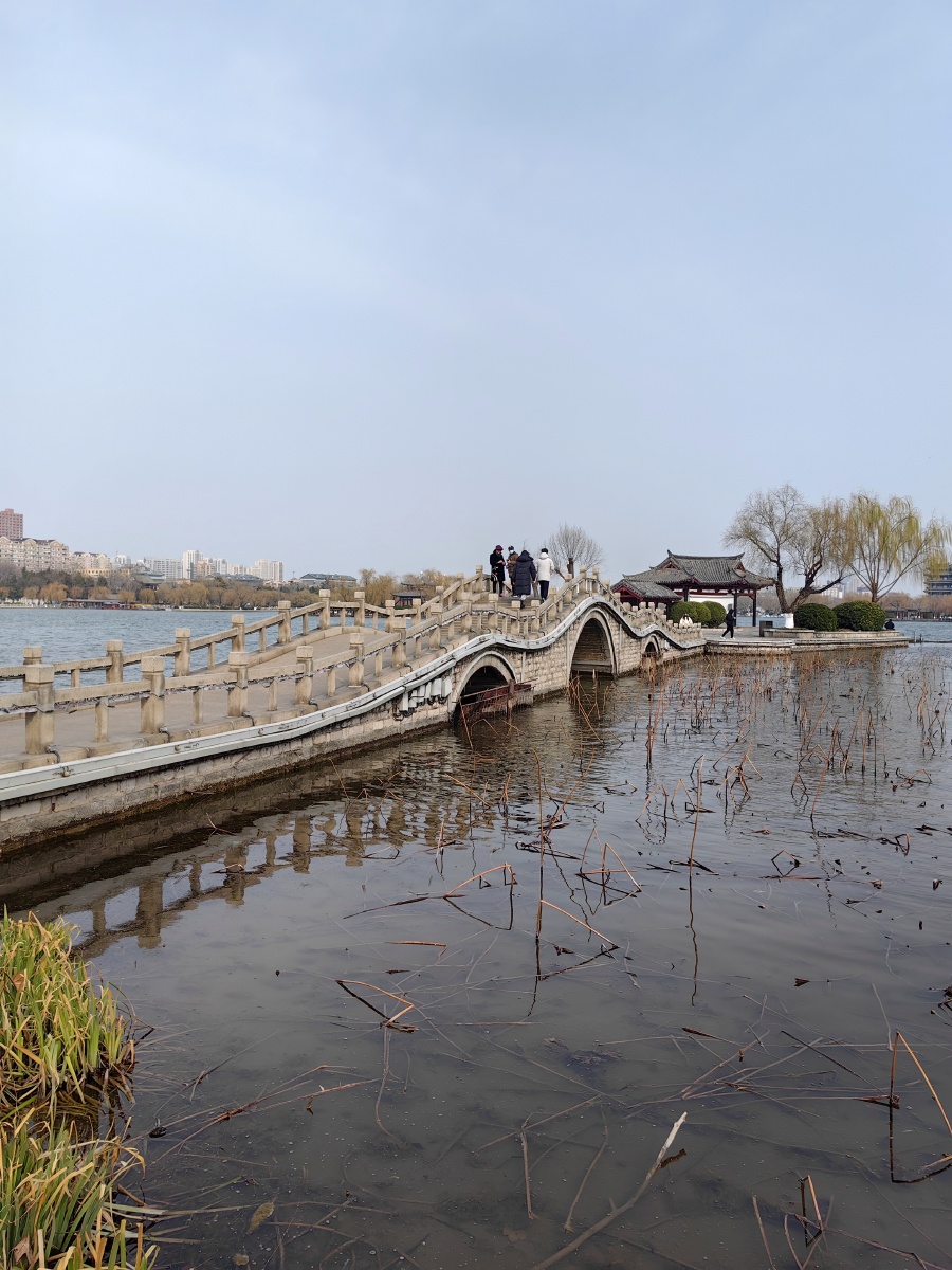 美在其中游大明湖52