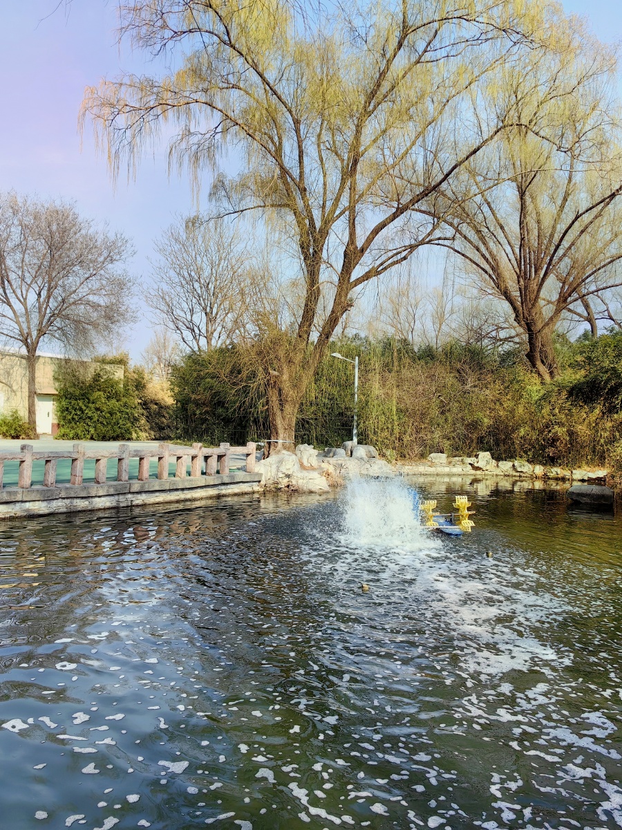 美在其中泉城公园20