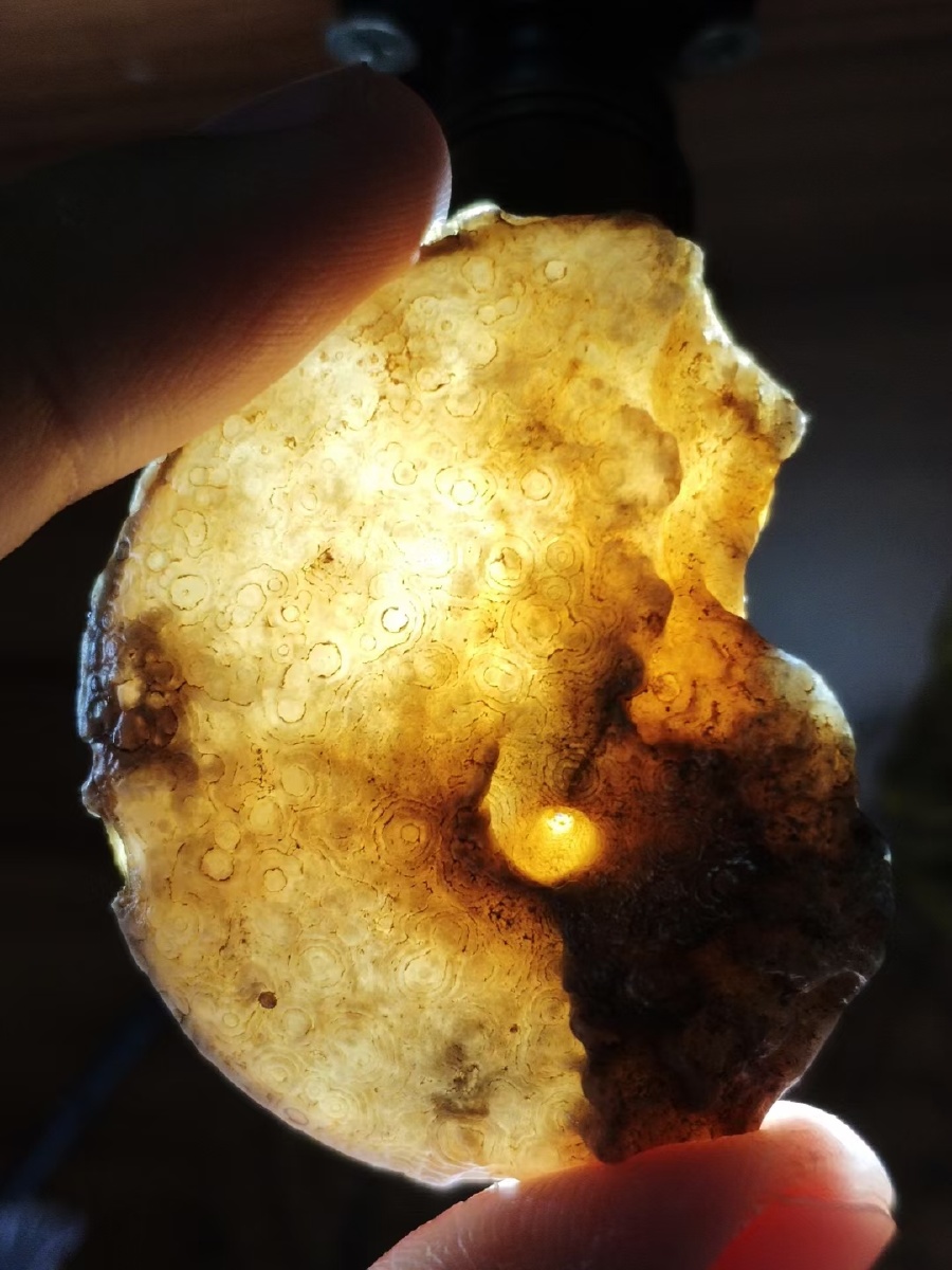 玛瑙化菊石细节 - 由心生 - 图虫