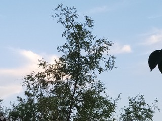 6430