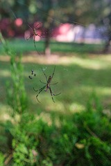 DSCF2953