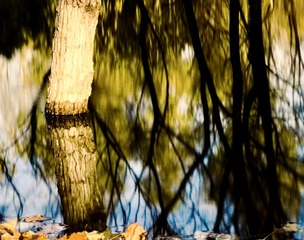 7694D039-471E-41E5-8447-1B612700219A/L0/001