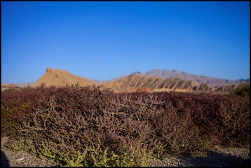 IMG_4896.jpg