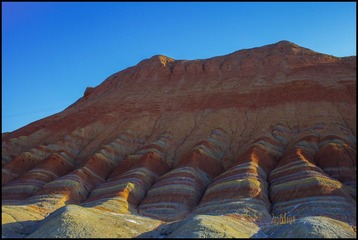 IMG_4904.jpg