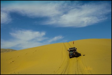 IMG_5173.jpg
