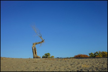 IMG_6613.jpg