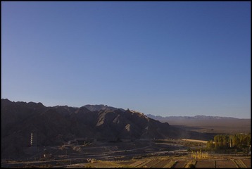 IMG_6798.jpg