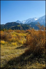 IMG_5110.jpg