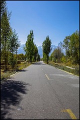IMG_5008.jpg