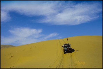 IMG_5173.jpg