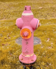 C5E408DD-FB92-45B4-B36F-90365EA7A6DF/L0/001
