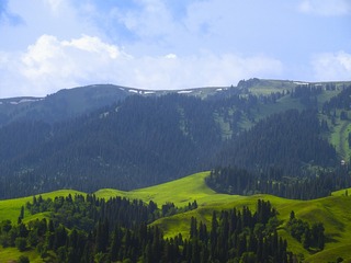 1000020614