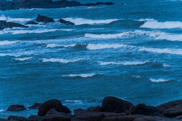 2410FFE8-33BD-4A83-B083-0D831F1EF90C/L0/001