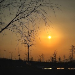 35A58395-420C-475A-8B92-DE54CF17C621/L0/001