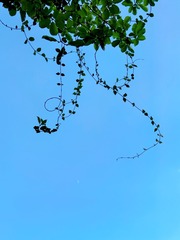154AF0D3-F29F-4480-8FBA-1EE4E4427D74/L0/001
