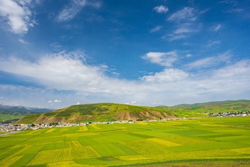 _DSC6541