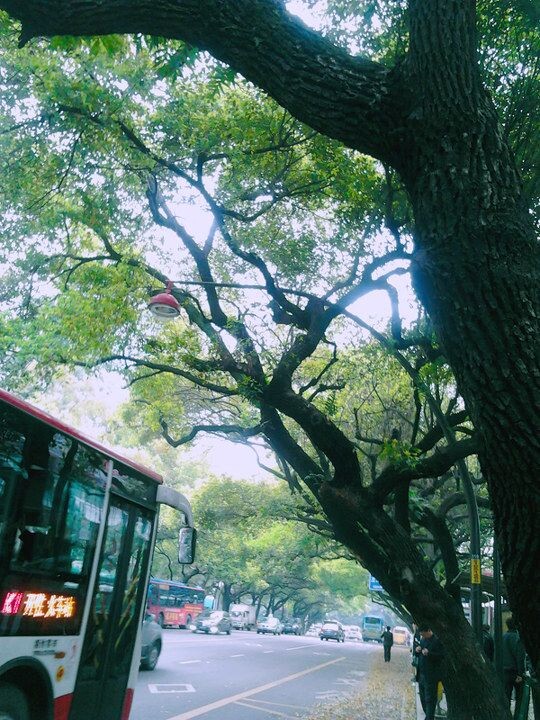11N03<br />
匆匆一年就过去了，去年刚回到福州，无限憧憬将留在福州的生活