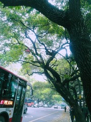 照片 018---.jpg