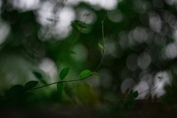 908973