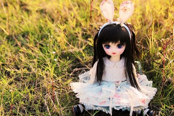 I MG_5215