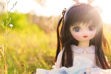 I MG_5217
