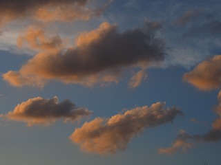 AC10BD7A-5B51-4660-A865-8E168091F316/L0/001