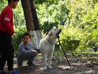 24B9509D-8533-4BBC-B399-62465A9BD540/L0/001